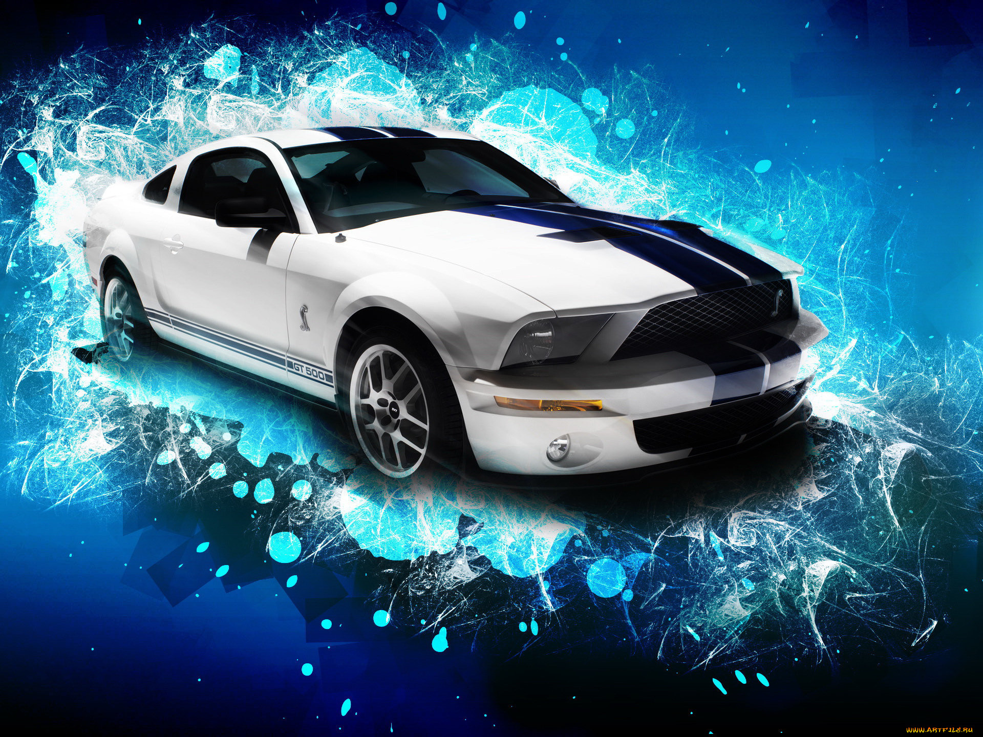 , mustang